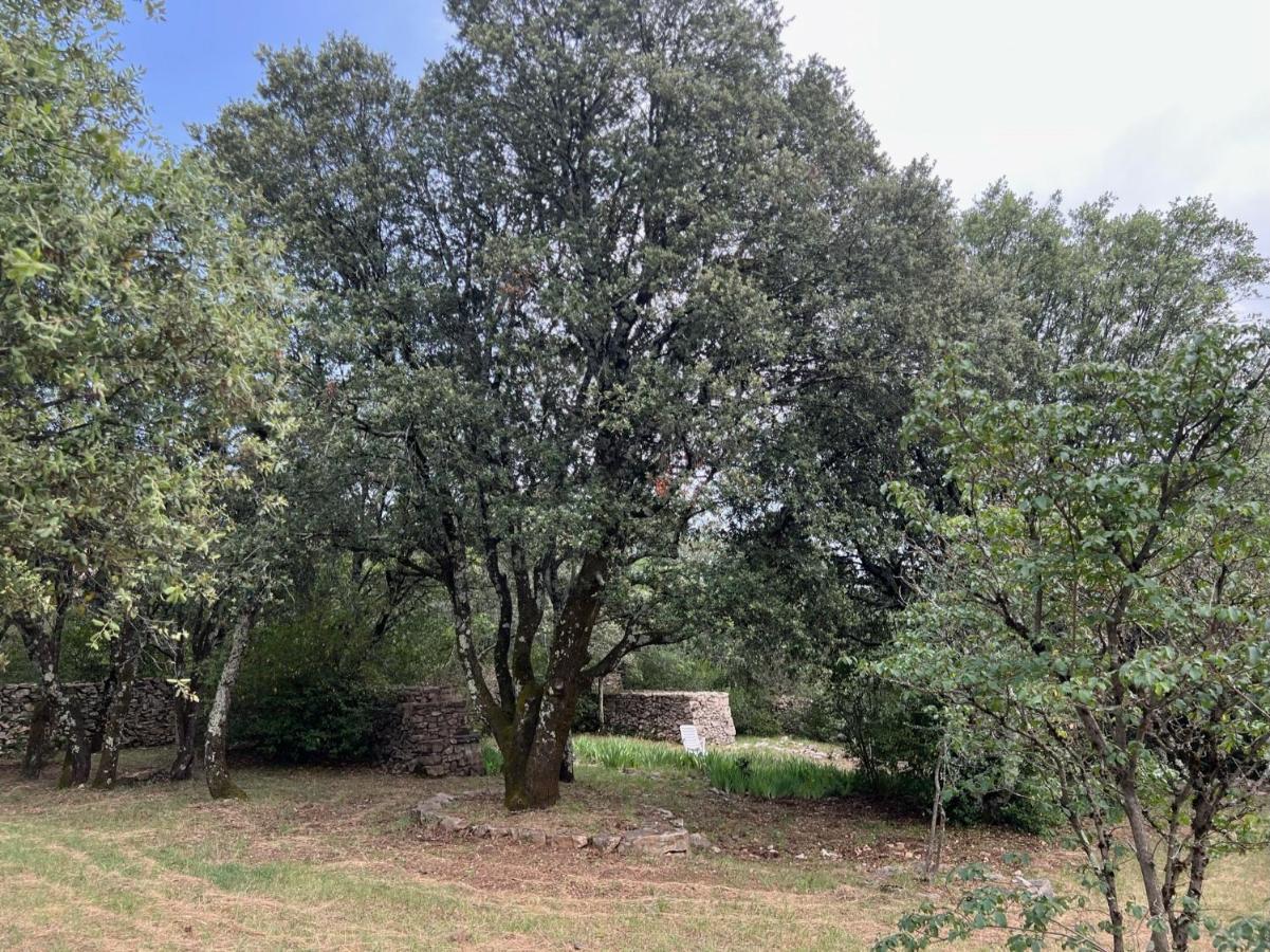 Luxurious Family House With Pool In Ardeche. Villa Les Vans Exteriör bild